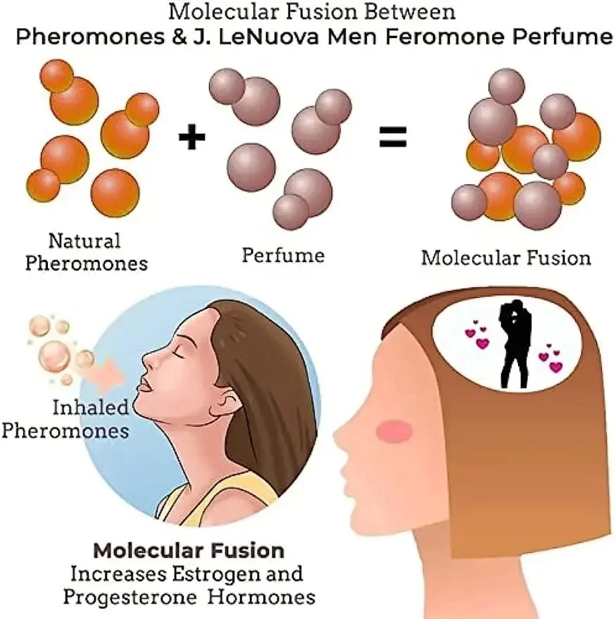 Men's Pheromone Perfume Attrac - Body Oil review and price